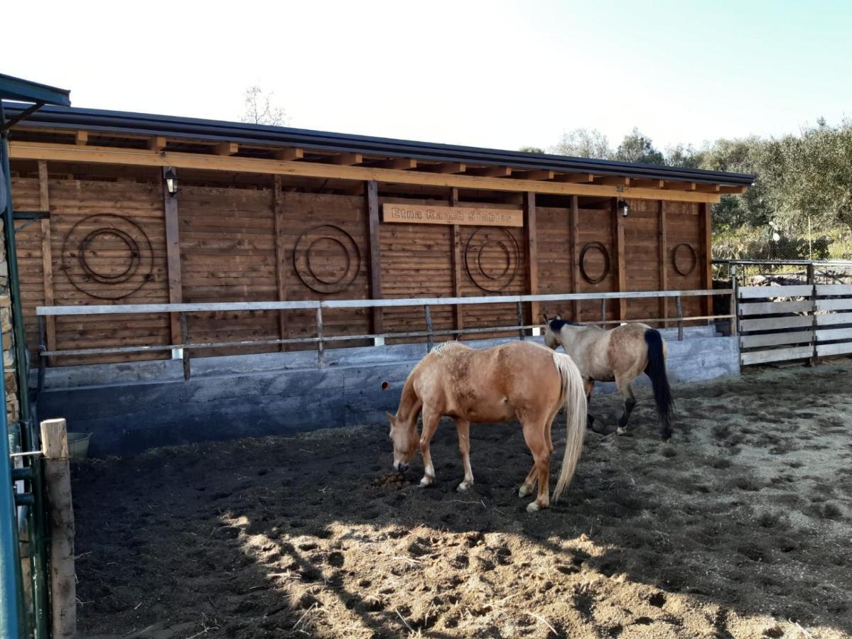 Etna Ranch