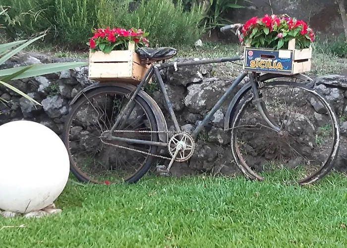 B&B Etna Ranch